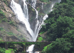 Dudhsagar Waterfall Trek