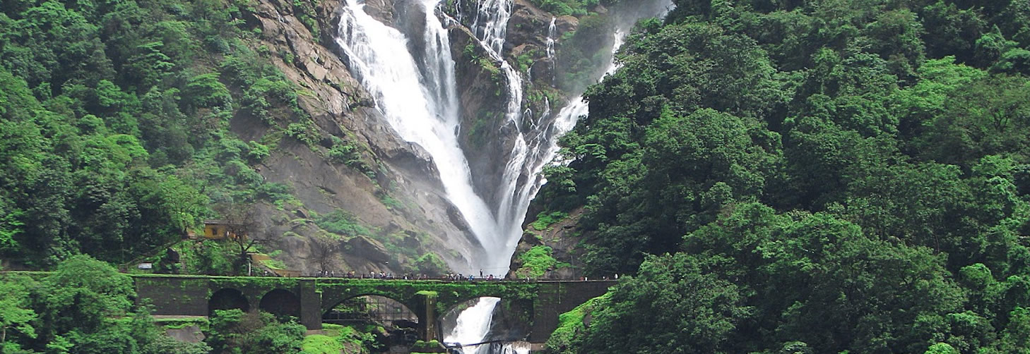 Download this Dudhsagar Waterfall Trek picture