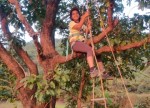 Madheghat Kids Camp Ladder Climbing Explorers treks & tours Pune mumbai