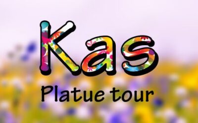 Kaas Plateau Tour from Pune Mumbai by Explorers Trek and tours