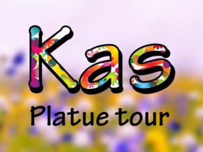 Kaas Plateau Tour from Pune Mumbai by Explorers Trek and tours
