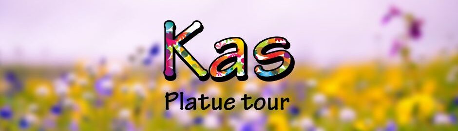 Kaas Plateau Tour from Pune Mumbai by Explorers Trek and tours