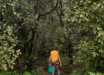 04 Kusur Pathar jungle trek trail photo