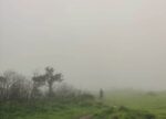 05 Kusur Pathar jungle trek trail photo Kusur Pathar