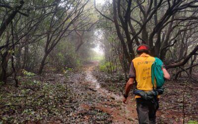 Kusur Pathar jungle trek trail photo Nature Trail