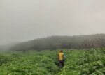 Kusur Pathar jungle trek trail photo karvi