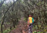 Kusur Pathar jungle trek trail photo like a Andharban Trek