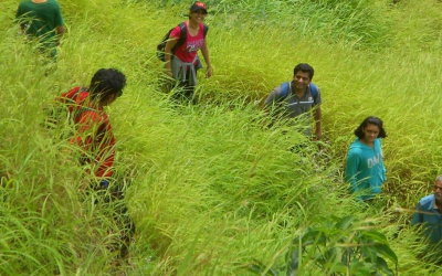 Upande Ghat to Shivtharghal