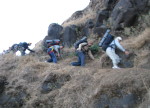 AMK Adventure Trek by Explorers Pune Mumbai