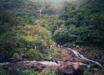 Explorers Andharban Trek Explorers treks & tours #Andharban #explorers_group #Explorers #ExplorersTreks&Tours #ExplorersOutdoors #ExplorersPune #Treks&Tours