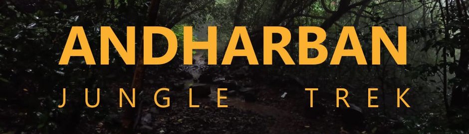 Andharban Jungle Trek from pune by explorerstreksandtours